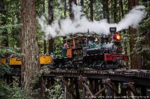 OCEAN LODGE image 10